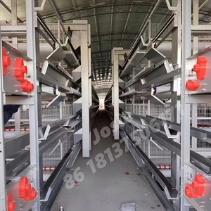 Nuevo Equipo Avícola XF 2020: Jaula Automática Galvanizada Tipo A para Gallinas Ponedoras, Capacidad para 80 Aves por Set - Product Image 3