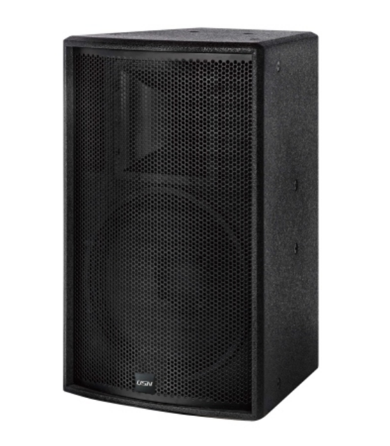 QSN DS215 600W 4Ohm Professional Speaker with Eco-Friendly Design Aluminum Alloy Diaphragm XLR Connectivity for Hall Use