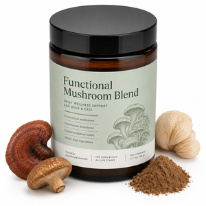 Suplemento Natural para Mascotas con Cola de Pavo, Reishi y Melena de León, Servicio OEM Integral, Polvo de Hongos Enteros para el Bienestar - Product Image 1