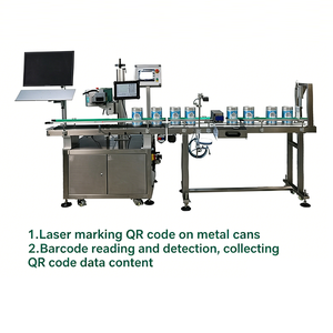 Machine de marquage laser automatique en ligne avec contrôle EZCAD et prise en charge IA |   Codeur QR/DataMatrix conforme à la norme GS1 pour ligne d'emballage de boîtes laitières - Product Image 4