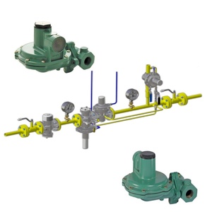 เกจวัดแรงดันแบบสกิด HSR/HSRL - Product Image 4