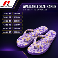 Chanclas de PVC Personalizadas con Correa y Plantilla Impresas, Sandalias de Playa de Marca Privada para Compradores Mayoristas