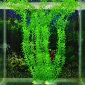 Fabricantes Direto Baunilha Simulado Plantas Aquáticas Popular Plástico Flores Falsas para Aquário Fish Tank Paisagismo Box - Product Image 6