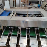 Elektronische Kiwi Wortel Passievrucht Roller Sizer Sorteermachine Groenten Fruit Sorteerlijn Aardbeien Verwerkingslijn 304