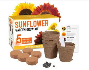 Kit DE CULTIVO DE GIRASOL--Comience su propio jardín de flores Un regalo completo para jardineros-Kit de inicio para principiantes