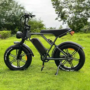 Nieuwe Aankomst 48V 15ah Lithiumbatterij 250W 750W Fatbike Achternaaf Motor Elektrische Fiets 20 "Dikke Band Elektrische Sportfiets Ouxi H9