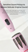 Microphone dynamique sans fil en alliage d'aluminium personnalisable avec connecteur Type C pour conférences, karaoké, enseignement et fêtes