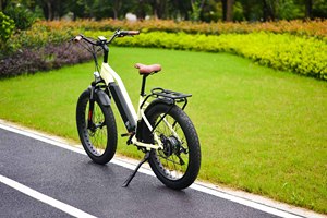 Portapacchi elettrico elettronico City Bike/moto 15Ah tubo veloce 25 Kmh sensore di velocità acceleratore pedale Velocipede - Product Image 5