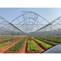 Grande serre agricole gothique Venlo à simple travée avec aérations de toit en forme de papillon, structure en acier galvanisé à chaud, couverture en film, haute performance