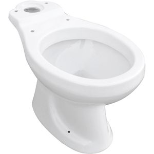 Fern Wall-Hung <b>Toilet</b> Bowl for Monoblock Modern Bathroom <b>Accessory</b> - Product Image 1
