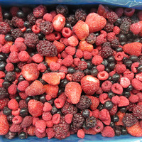 IQF Diepvries Gemengde Bessen en Mix Aardbeien Blauwe Bessen Bulk Leverantie Natuurlijke Oorsprong Fruit BRC Gecertificeerd voor Voedingsmiddelenproductie