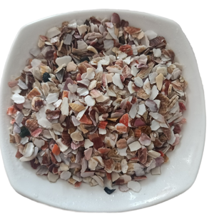 Puces de nacre concassées en pierre naturelle pour revêtement de sol en terrazzo extérieur pour parcs - Product Image 6