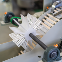 Machine d'emballage et de cerclage automatique pour bâtonnets de crème glacée en bois avec moteur numérique, fournie par l'usine