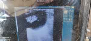 Klinik medis dokter hewan instrumen <span class=keywords><strong>Ultrasound</strong></span> genggam hewan hewan hewan menggunakan perangkat <span class=keywords><strong>Ultrasound</strong></span> untuk penggunaan hewan - Product Image 2