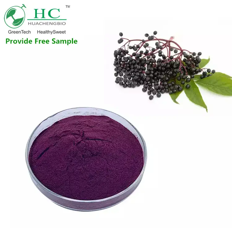 Extracto de Elderberry, antocianósidos, Sambucus, Nigra, polvo de fruta