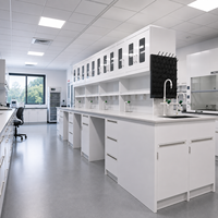 Mesa de Experimentos de Física, Química y Biología, Muebles de Laboratorio con Fregadero y Estante para Reactivos para Escuelas y Universidades