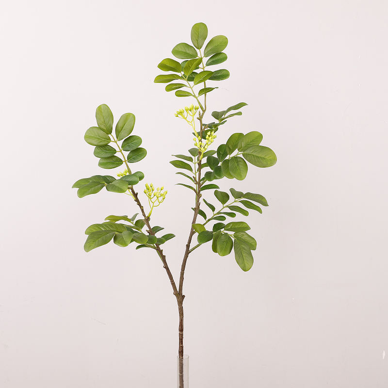 สีเขียว