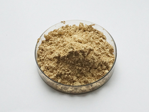 Gypenoside 40%-98% chiết xuất jiaogulan insen Cung cấp <span class=keywords><strong>Gynostemma</strong></span> pentaphyllum chiết xuất bột - Product Image 3