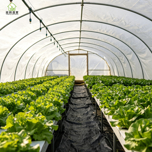 Invernadero Portátil Grande de Plástico Cubierto con Láminas, Diseño de <span class=keywords><strong>Túnel</strong></span> de un Solo Tramo para Agricultura y Jardinería - Product Image 5