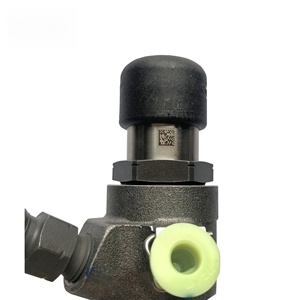 Inyector de Combustible Diésel Original Nuevo 1746967 A2C59517051 BK2Q9K546AG A2C59517051 BK2Q-9K546-<span class=keywords><strong>AG</strong></span> - Product Image 5