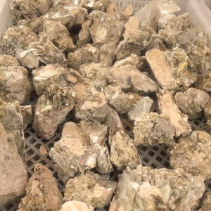 <span class=keywords><strong>Pietra</strong></span> Grezza Naturale di <span class=keywords><strong>Lepidolite</strong></span> Dorata di Alta Qualità, Cristallo Grezzo di Mica Dorata Naturale, Vendita all'Ingrosso - Product Image 5