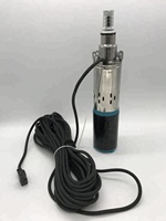 Pompe de puits submersible solaire DC pompe à vis pompe à eau250w tête 40m adaptée à l'agriculture