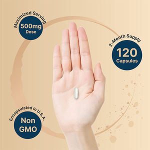 Cápsulas de Citicolina <span class=keywords><strong>CDP</strong></span> de 500 mg, Suplemento Nootrópico para Mejorar la Función Cognitiva y la Memoria en Adultos, OEM - Product Image 4