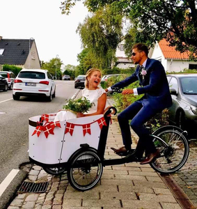 Beiji Néerlandais trois roues tricycle électrique en bois courbé boîte cargo vélo avec housse de pluie à vendre - Product Image 1