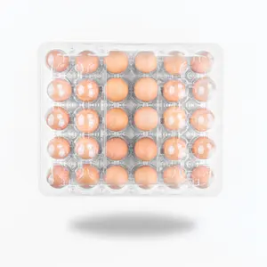 Toptan ucuz 30 delik özel baskı etiketleme PET tek kullanımlık yumurta paketi konteyner plastik temizle yumurta tepsisi