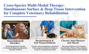 Macchina Efficace per Terapia a Onde d'Urto Extracorporee per Animali, per Guarigione Accelerata e Sollievo dal Dolore, Anti-infiammatoria - Product Image 4