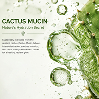 Sérum Visage Végétalien Personnalisé OEM à Base de Plantes Biologiques, de Mucus de Cactus et d'Acide Hyaluronique 100ml/30ml – Hydratation Profonde et Réparation de la Barrière Cutanée