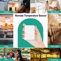 Thermomètre météo sans fil FT0420 avec capteur de température à distance, température maximale et minimale quotidienne