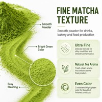 Poudre de mélange pour Matcha Latte 500 Mesh Qualité Barista pour boissons de café, smoothies, mélange sucré en vrac