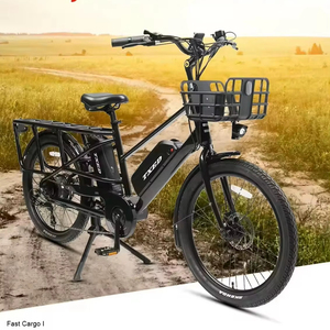 Vélo cargo électrique TXED 24 pouces avec cadre en alliage, 2 batteries au lithium, moteur 250W~750W, vélo de livraison électrique multifonctionnel, vélo cargo électrique - Product Image 1