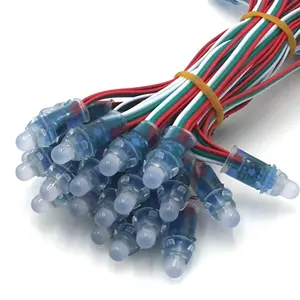 12 V wasserdicht vollfarbig WS2811 12 mm IP68 Bullet LED Pixellicht für Weihnachtsdekoration LED-Module Mesh 80 125 32 und 256