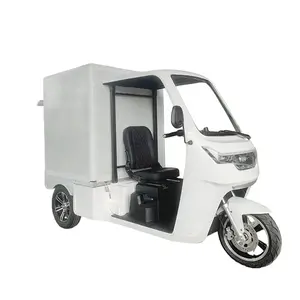 EEC Electric Car Approval Tuk Electric Cargo Car 38 km/H 1seater Express Delivery Mail Truck / Mail Car / Electric Van