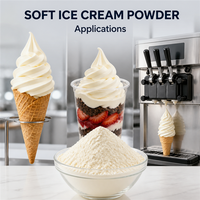 Poudre de crème glacée molle en vrac de 25 kg pour la restauration, les pâtisseries, les cafés et les machines à crème glacée – Approvisionnement direct usine