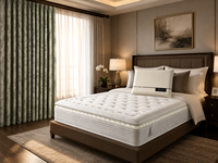 Matelas en mousse à mémoire de forme gel King Queen Size, matelas de luxe avec surmatelas de qualité hôtelière, emballé sous vide, OEM