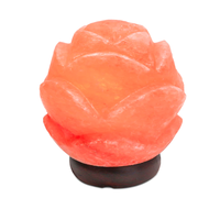 Lampe de sel rose de l'Himalaya sculptée à la main Tahir Gems, artisanat naturel avec couleur personnalisée pour la maison, le bureau ou la décoration de fêtes - Vente flash