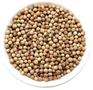 Semi di coriandolo cinese semi di coriandolo prezzo economico semi di coriandolo - Product Image 2