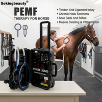 Appareil PEMF Butterfly Loop Horse pour améliorer la flexibilité et la mobilité des articulations, dispositif PEMF pour centre de réadaptation animale