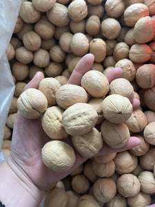 جودة جيدة سعر منخفض الجوز و 33 جوز طازج مستوى تصدير الأغذية العضوية - Product Image 2