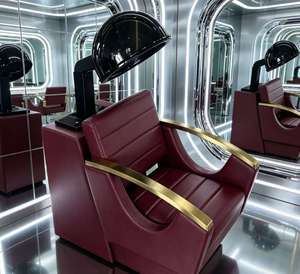 Sillón Profesional para Secador de Pelo con Aire Frío y Caliente, Estación de Secado con Capucha y Diseño Ergonómico, Sofá Individual para Salón de Belleza - Product Image 4