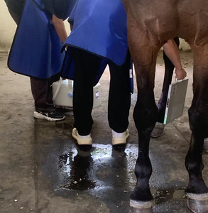 バッテリーポータブル<span class=keywords><strong>X</strong></span>線装置を備えた新しい1.8KW人間の獣医の手足の胸部<span class=keywords><strong>X</strong></span>線写真 - Product Image 5