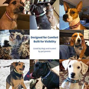 Collar Personalizado para Perro, Correa para Mascotas, Suave y Cómodo, Estilo a Cuadros Rojos, Diseño Acolchado, Collar Ajustable para Perro - Product Image 3