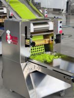 Nouvelle machine automatique à fleurs en fondant, outils pour fleurs en sucre, laminoir à pâte, machine à embosser en acier inoxydable de haute qualité