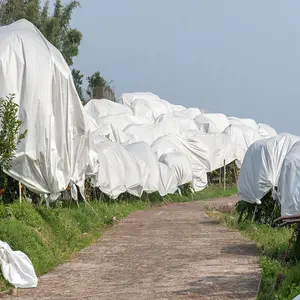 Copertura Non tessuta della protezione della pianta del giardino della copertura del mazzo della Banana della frutta del tessuto Non tessuto dei PP per la copertura della pianta del tessuto Non tessuto di inverno