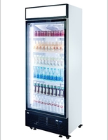 Réfrigérateur-congélateur commercial vertical 600L à porte vitrée, refroidissement par air, pour boissons, idéal pour les magasins de proximité