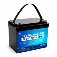 Paket Baterai Lifepo4 Grosir WLY 12v 10ah 20ah 50ah 100ah Baterai Lithium Ion Penyimpanan Baterai Isi Ulang