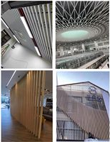Paneles de Techo Decorativos de Aluminio para Interiores, Diseños de Paneles de Techo Falso, Nuevo Material para Decoración de Techos y Paredes